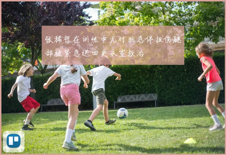 张稀哲在训练中无对抗急停扭伤腿部被紧急送回更衣室救治