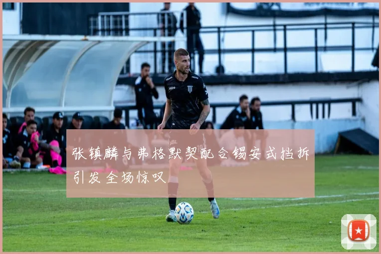 张镇麟与弗格默契配合锡安式挡拆引发全场惊叹